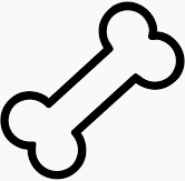Knochen_Skizze