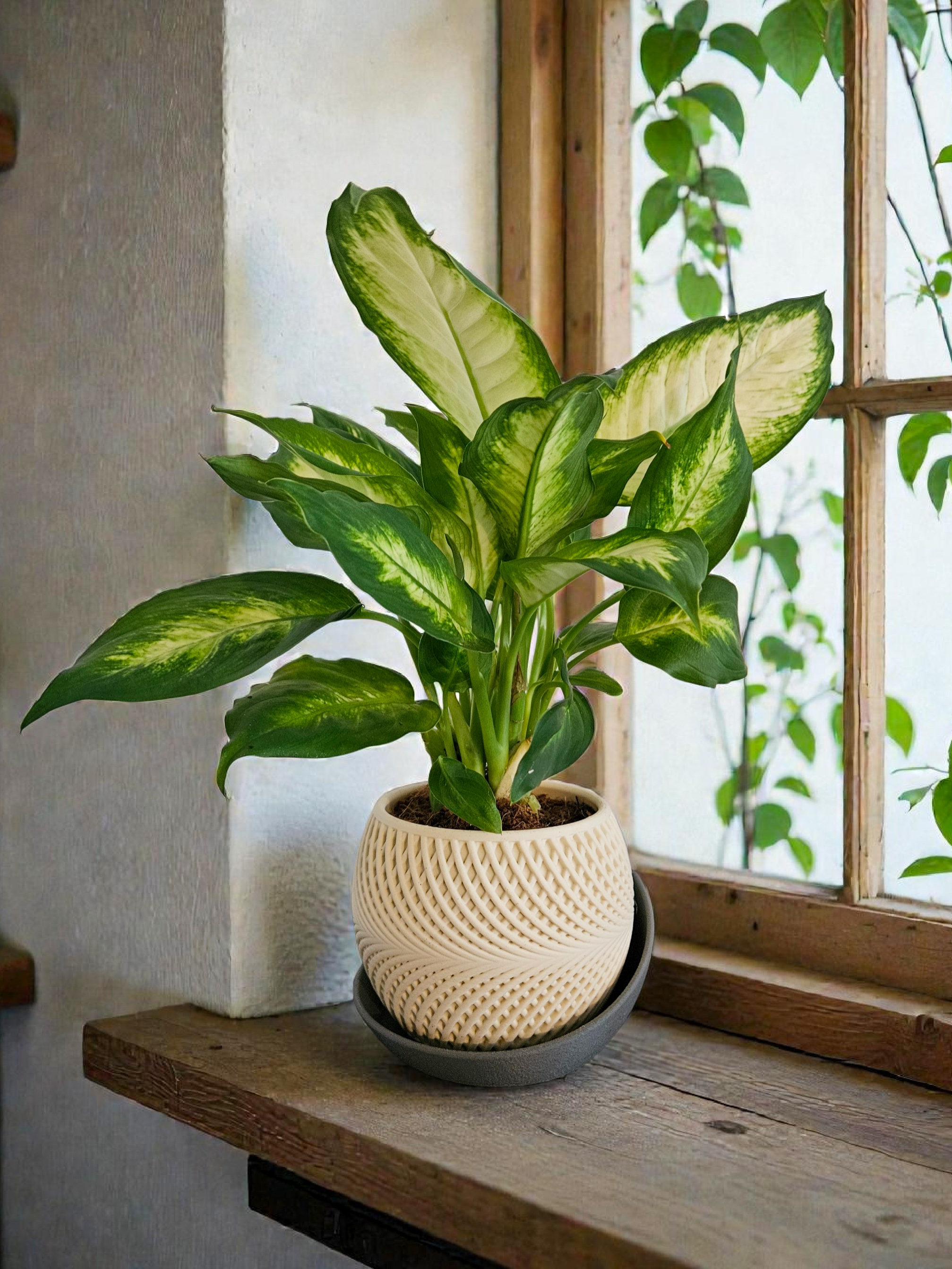 Moderne Design-Vase "AURA" – Rundes Vasen-Set mit strukturiertem Unterteller